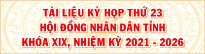 https://hdnd.namdinh.gov.vn/portal/pages/van-ban/v.aspx?uid=1943